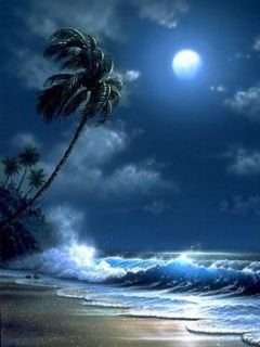 moonlight.jpg